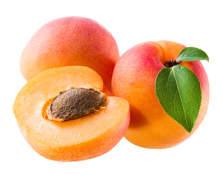 Apricots at Trinity Fruit Company