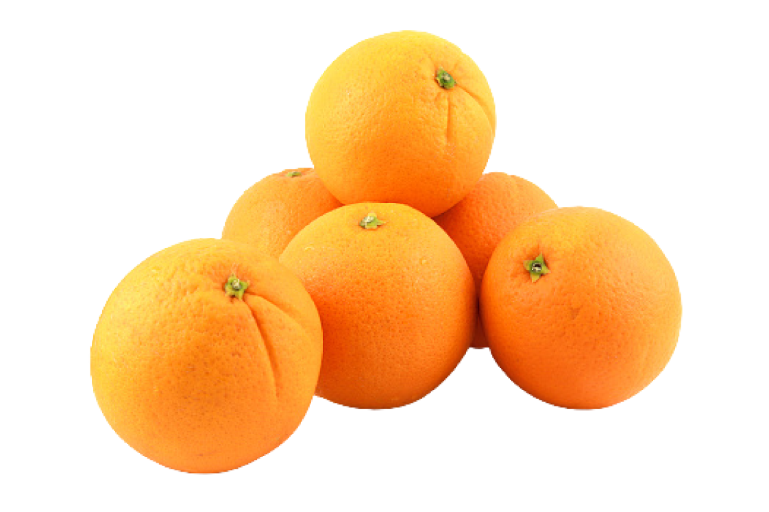 Navel Oranges at Trinity Fruit Company
