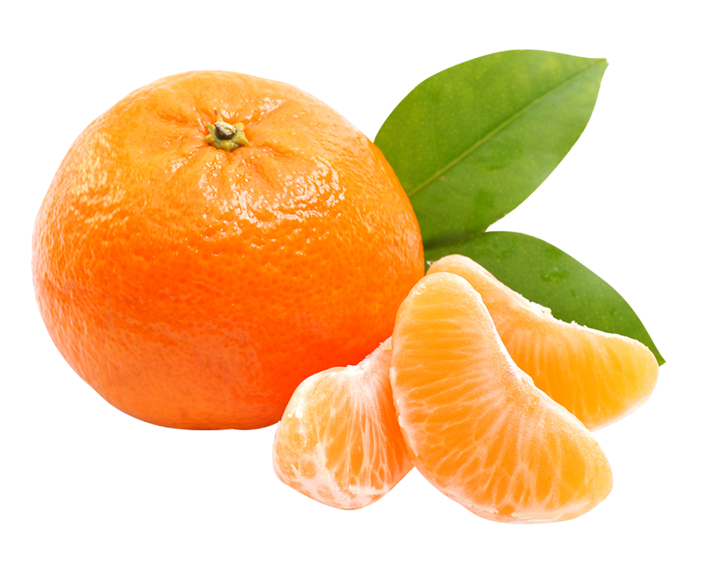 Mandarins at Trinity Fruit Company